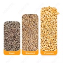Product Importer Gallery 02 · 95c16c06fe