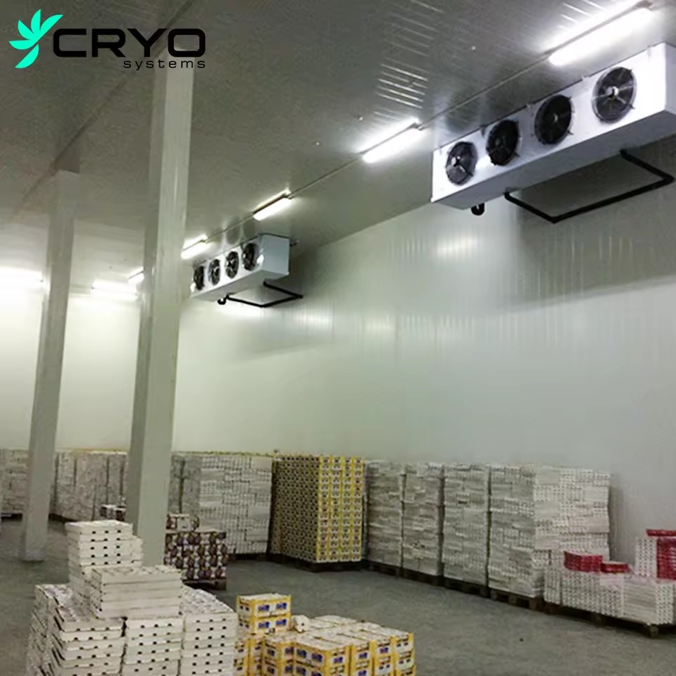 Product Importer Gallery 01 · c924eb1bc6