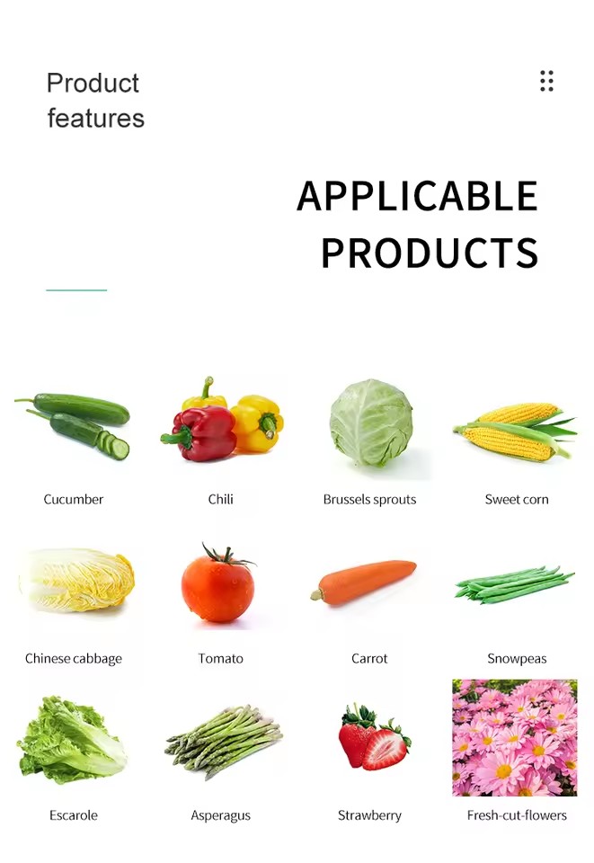 Product Importer Gallery 05 · 96ee6a07f3