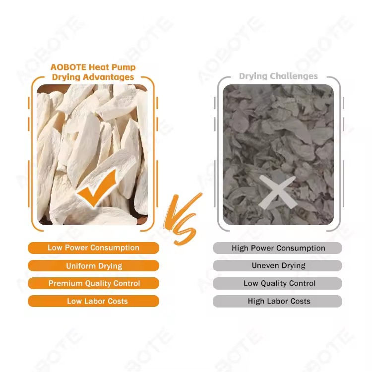 Product Importer Gallery 02 · ff4b14c59a