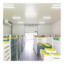 Product Importer Gallery 01 · f67b07e981