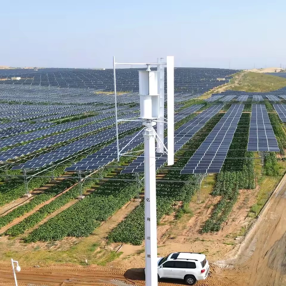 Product Importer Gallery 02 · c0b364c936