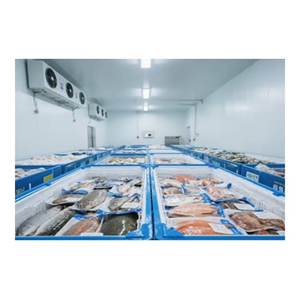 Product Importer Gallery 05 · cf1d667d18