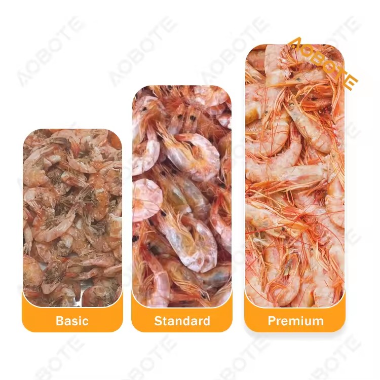 Product Importer Gallery 02 · 20496cb953