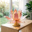 Product Importer Gallery 01 · 04165561ec