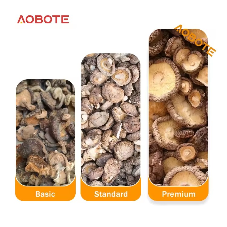 Product Importer Gallery 03 · 91220b288a