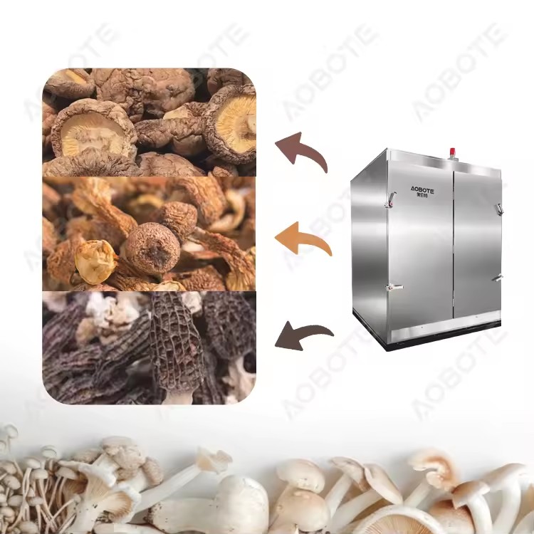 Product Importer Gallery 01 · 5bc6029999