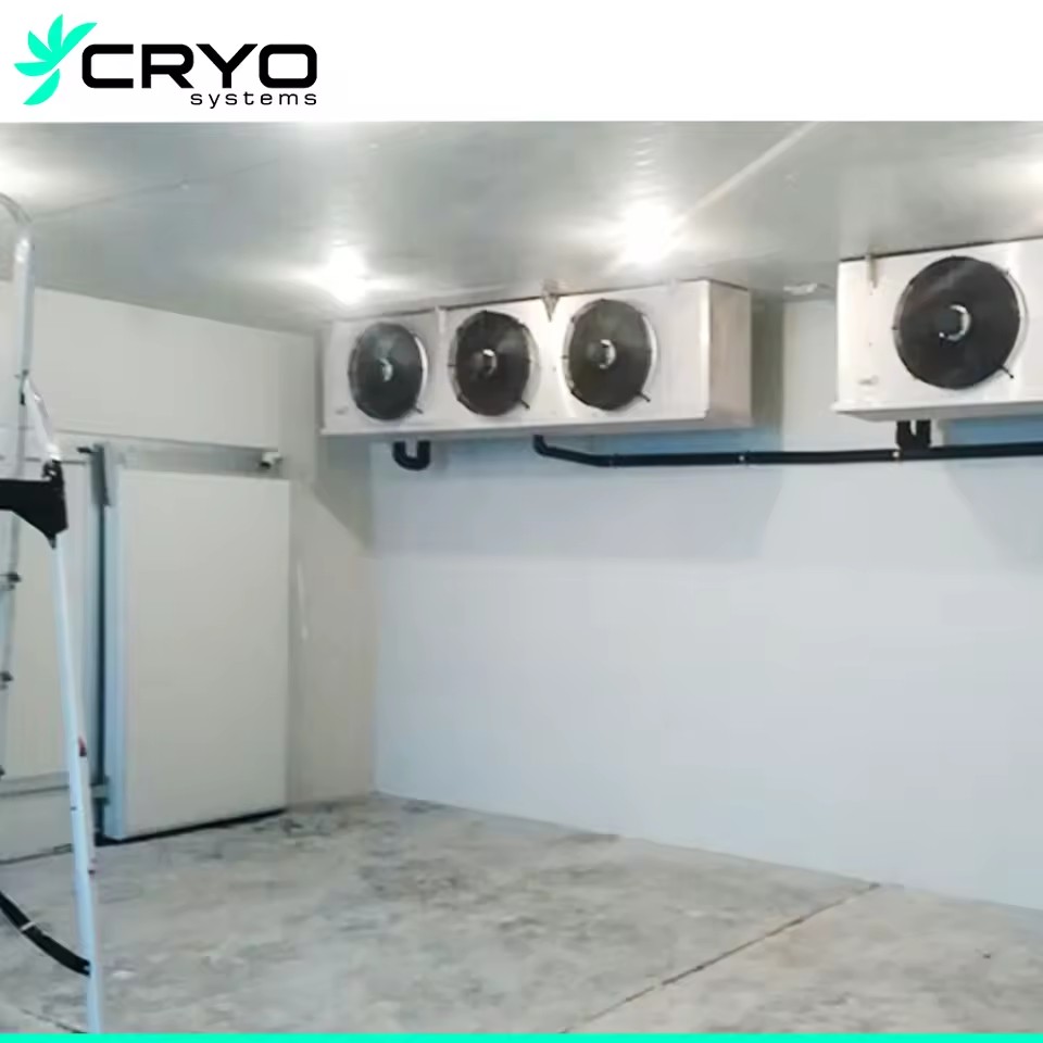 Product Importer Gallery 02 · 9125c6b890