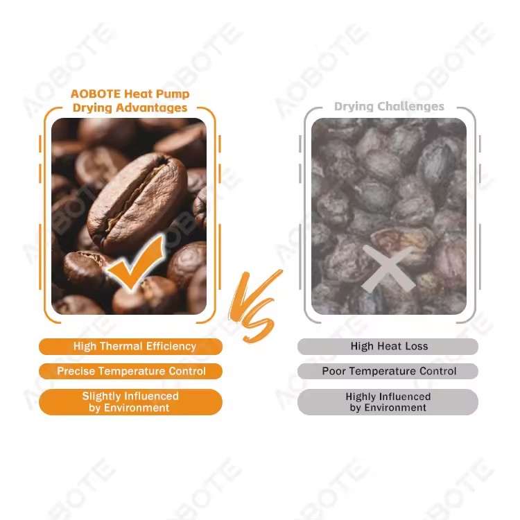 Product Importer Gallery 05 · a0a2e7cdd6
