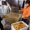 Product Importer Gallery 02 · 75769dcf21