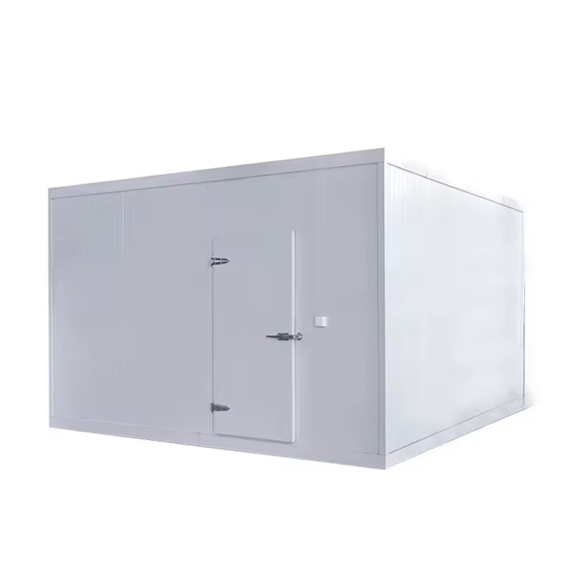 Product Importer Gallery 02 · 181cd8a8a9