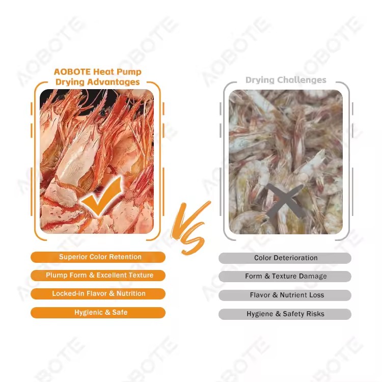 Product Importer Gallery 04 · 8f2b0037e3