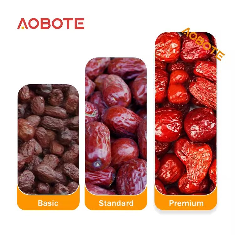 Product Importer Gallery 02 · 0773b2277c