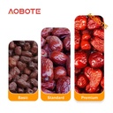 Product Importer Gallery 02 · 0773b2277c