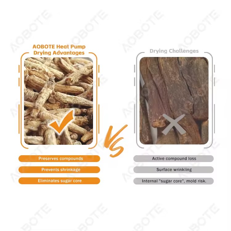 Product Importer Gallery 03 · f5384a1cd9