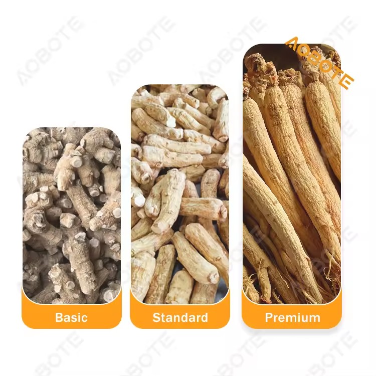 Product Importer Gallery 01 · 37f8744390