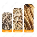 Product Importer Gallery 01 · 37f8744390