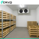 Product Importer Gallery 02 · 386a9062a8