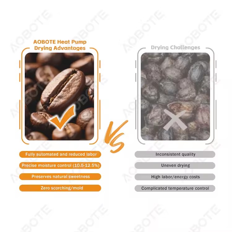 Product Importer Gallery 04 · b18cceb8c1