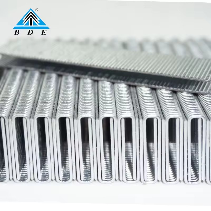 Product Importer Gallery 02 · d921b19378