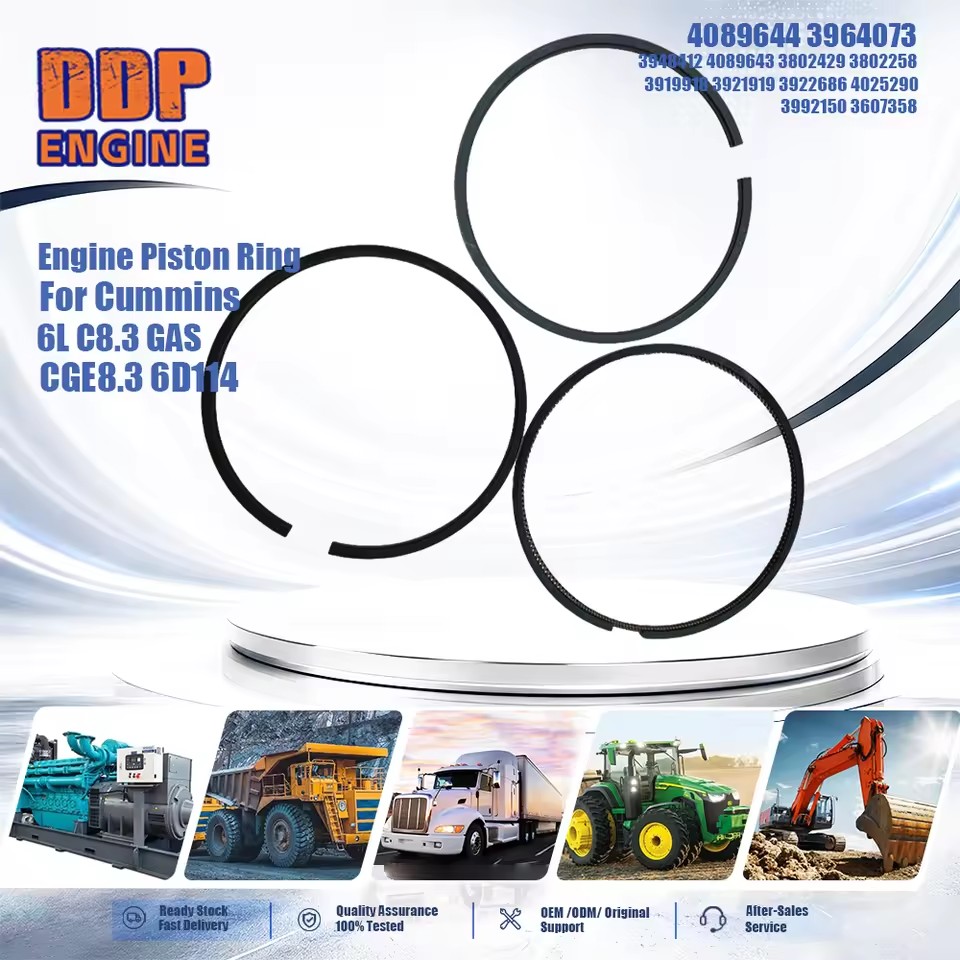 Product Importer Gallery 01 · b2b651b881