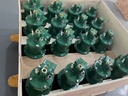 Product Importer Gallery 04 · 7556edf788