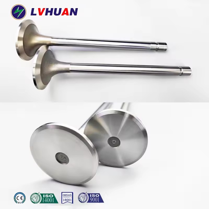 Product Importer Gallery 01 · b31efb2a6d