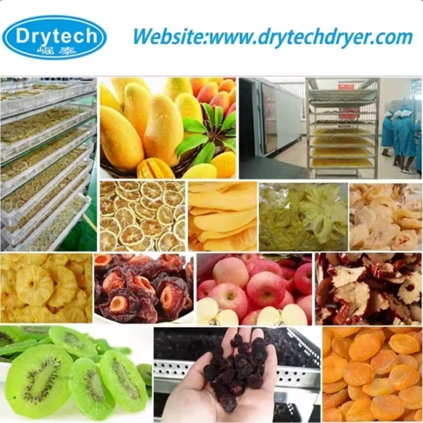 Product Importer Gallery 05 · 7783987702