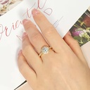 Product Importer Gallery 04 · fd36709139