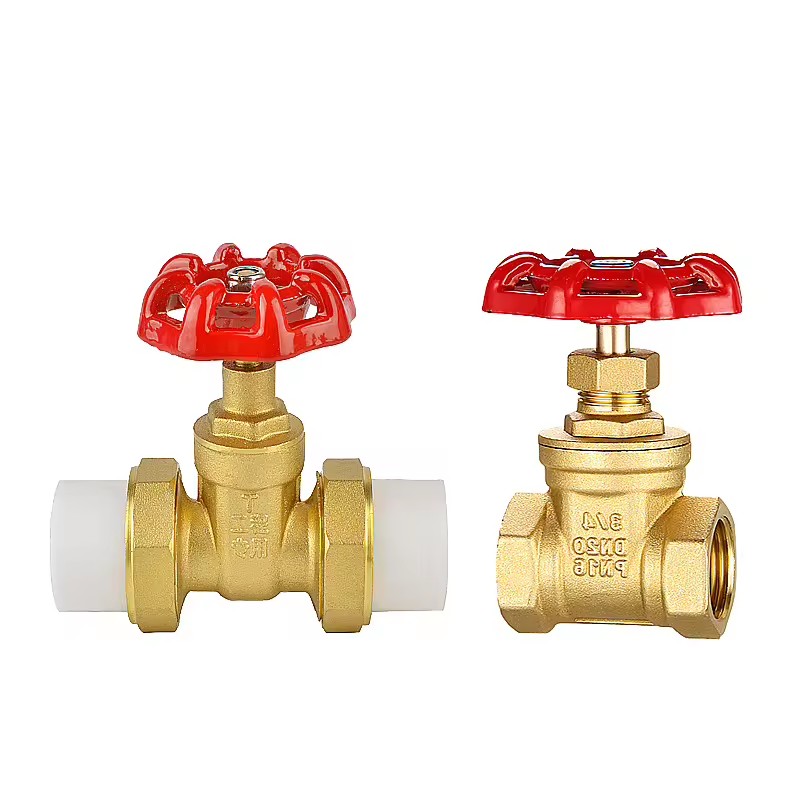 Product Importer Gallery 02 · d38b422c5b