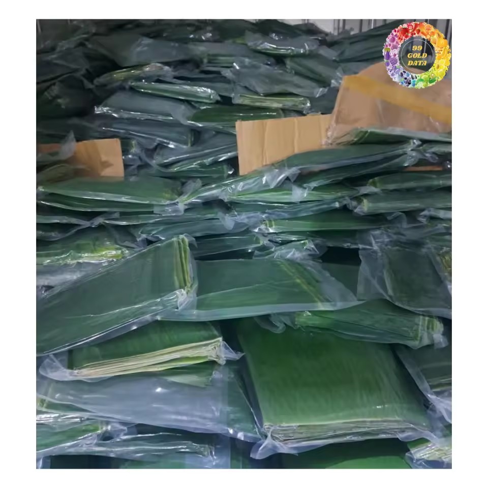 Product Importer Gallery 02 · 24e1d7570c