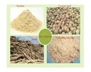 Product Importer Gallery 04 · 08ba2c25a2