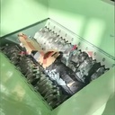 Product Importer Gallery 05 · 5e387d6435