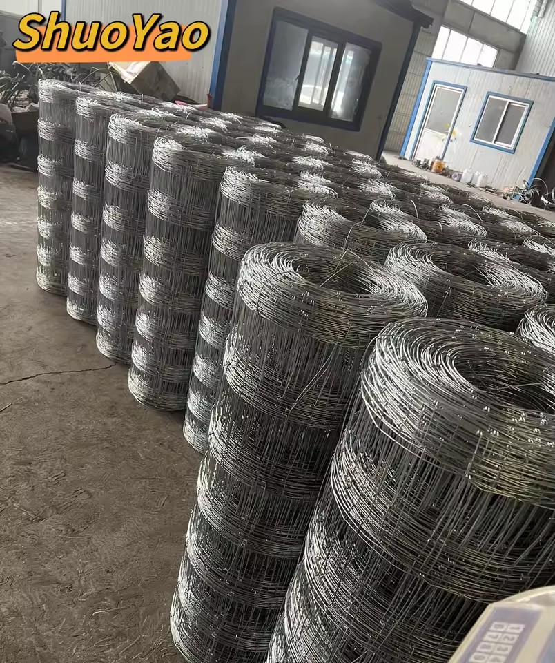 Product Importer Gallery 01 · 9a71953f59