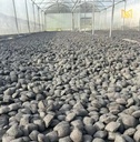Product Importer Gallery 04 · 0efe875b13