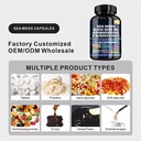 Product Importer Gallery 04 · 8058694863