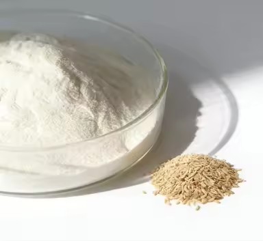 Product Importer Gallery 02 · 015c3f4570