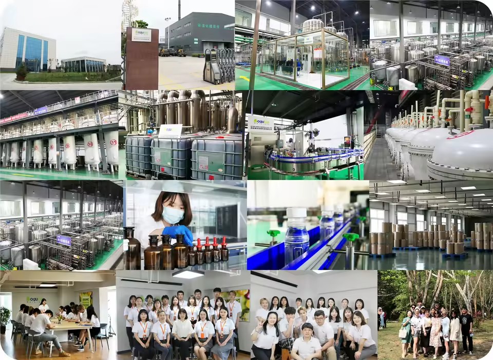 Product Importer Gallery 04 · dcd8647f86