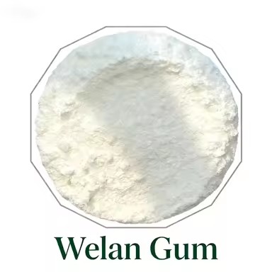 Product Importer Gallery 01 · b0d1afe636