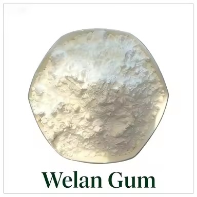 Product Importer Gallery 03 · d2866c21f7