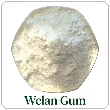 Product Importer Gallery 02 · a8b383d1e0