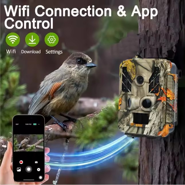 Product Importer Gallery 02 · e9b30293f0