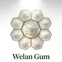 Product Importer Gallery 04 · 1742e4935f