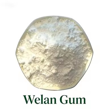 Product Importer Gallery 02 · 2950952756