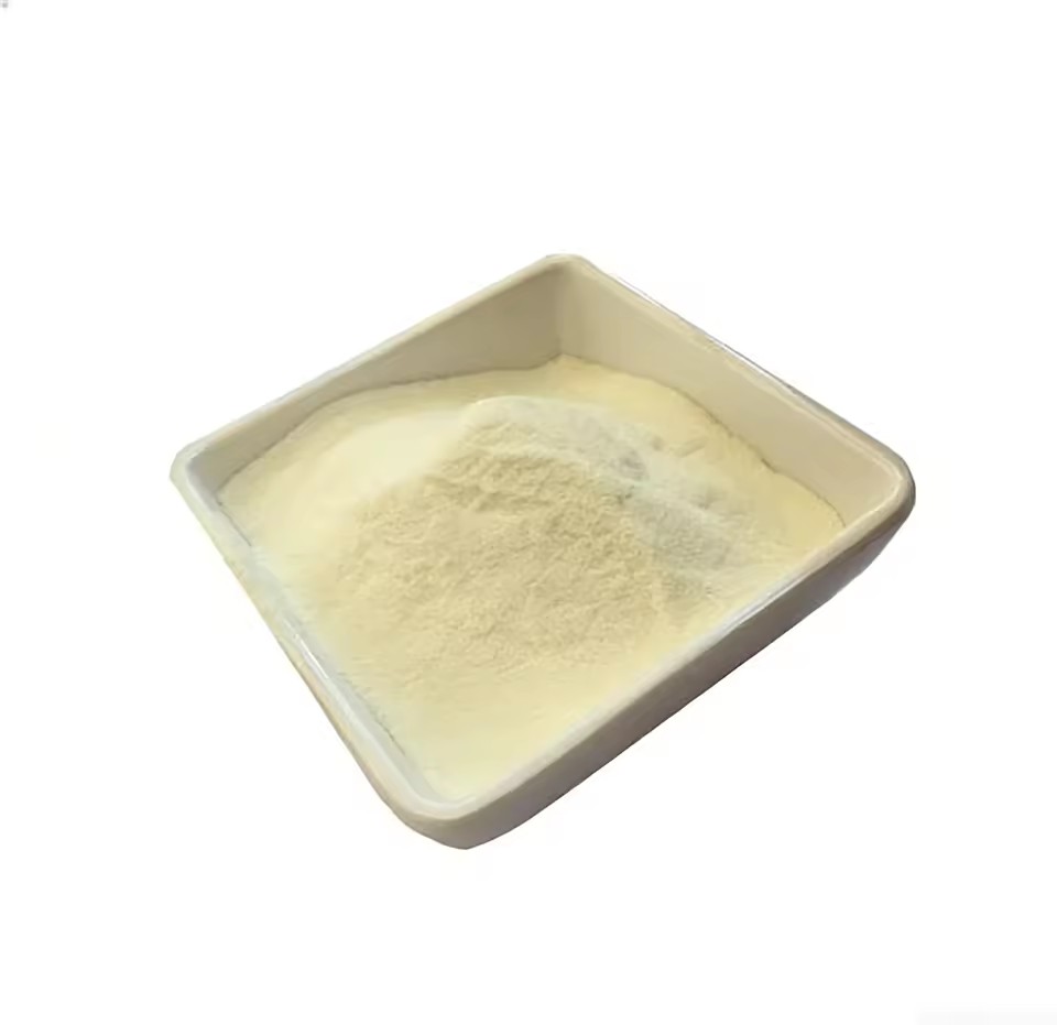 Product Importer Gallery 01 · 7d16ea0a38