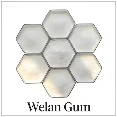 Product Importer Gallery 03 · 44806f2393