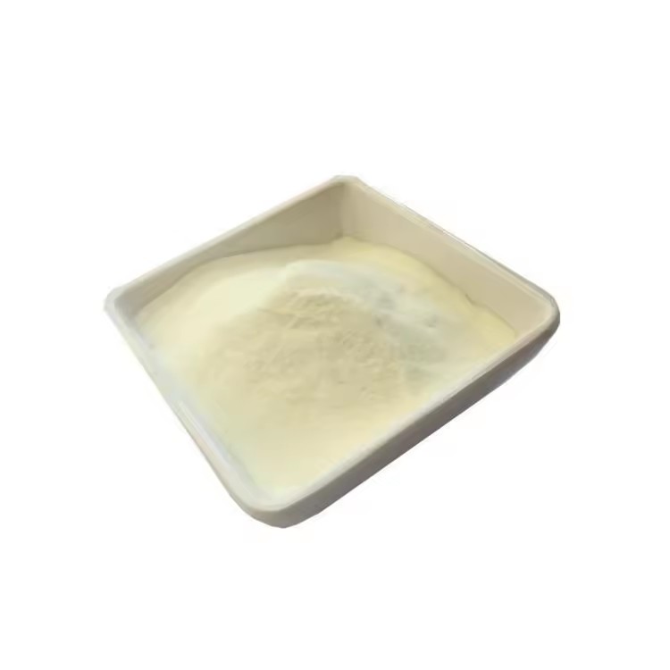 Product Importer Gallery 01 · 01f5d1c1a0