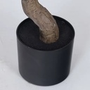 Product Importer Gallery 04 · f6f8c064e2
