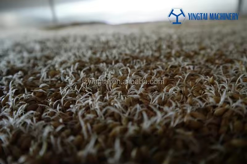 Product Importer Gallery 02 · 377d129ea8