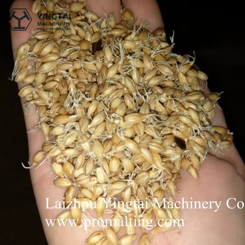 Product Importer Gallery 05 · 32b2f4f443